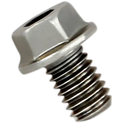 AKRAPOVIC Replacement Exhaust Bolt P-FB40