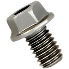 AKRAPOVIC Replacement Exhaust Bolt P-FB40