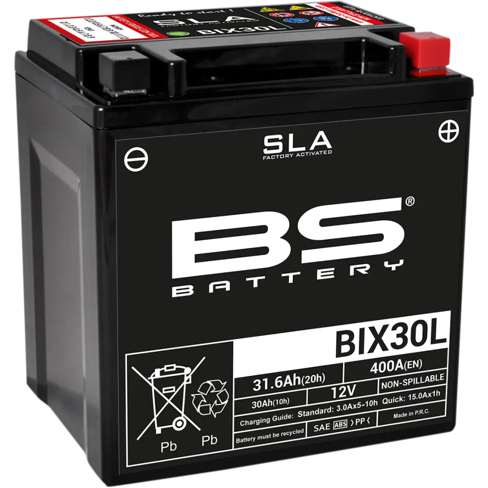 BS BATTERY Battery - BIX30L (YIX) 300631
