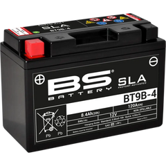 BS BATTERY Battery - BT9B-4 (YT) 300642