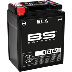 BS BATTERY Battery - BTX14AH (YTX) 300758