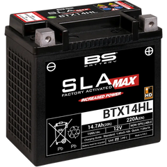 BS BATTERY Battery - BTX14HL (YTX) 300882