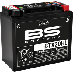 BS BATTERY Battery - BTX20HL (YTX) 300689