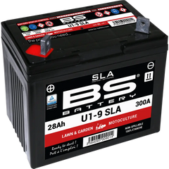 BS BATTERY Battery - U1-9 300901