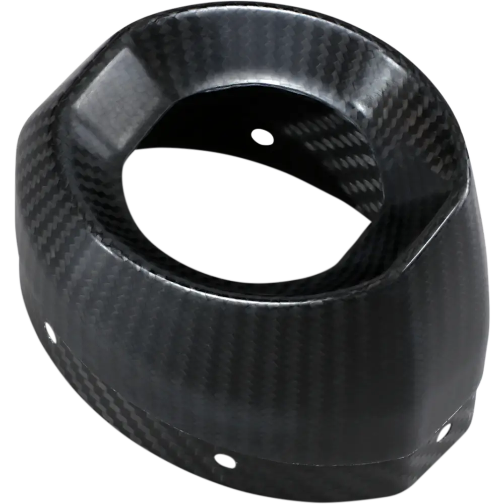 LEOVINCE End Cap - Carbon Fiber - Right - Factory 308420701R