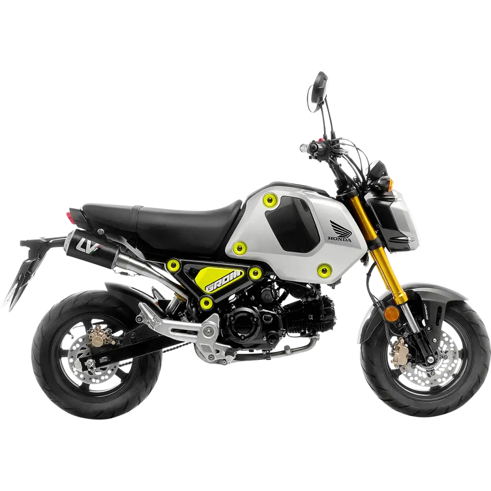 LEOVINCE LV-10 Exhaust - Carbon Fiber 15253CU - E X Haust Group