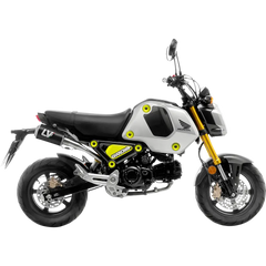 LEOVINCE LV-10 Exhaust - Carbon Fiber 15253CU - E X Haust Group