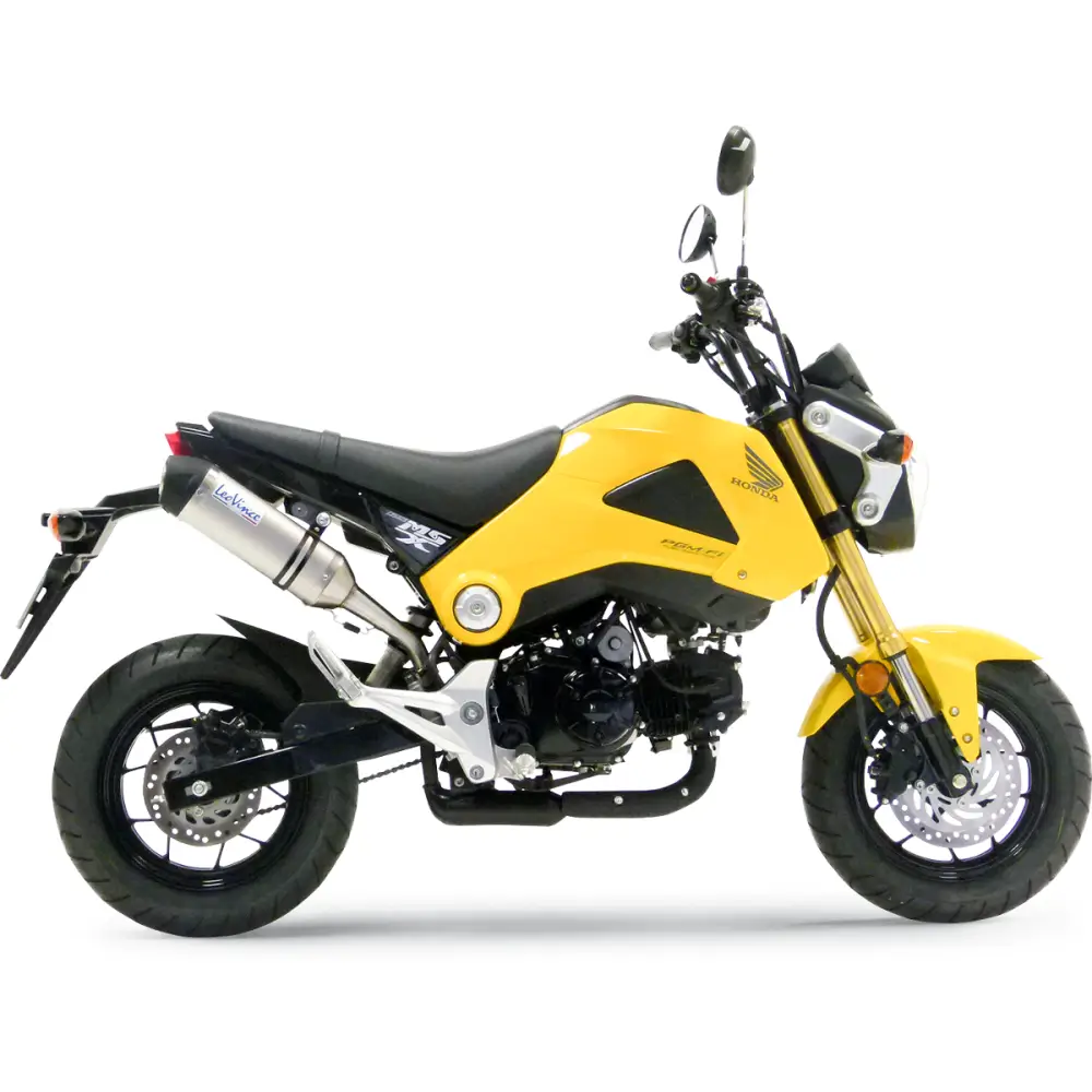 LEOVINCE LV One Slip-On 8789 - E X Haust Group