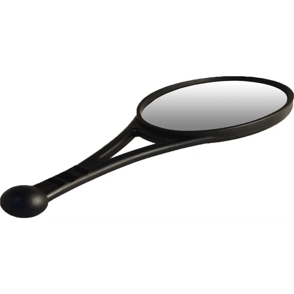 Mirror Oval/Ea Ram Type Mount