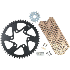 VORTEX Steel Chain Kit - Gold CKG6392