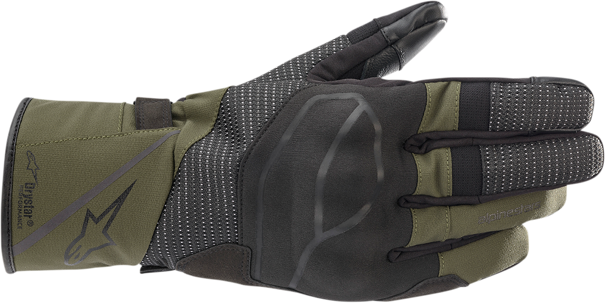 ALPINESTARS Andes V3 Drystar? Gloves - Black Forest - Small 3527521-1681-S