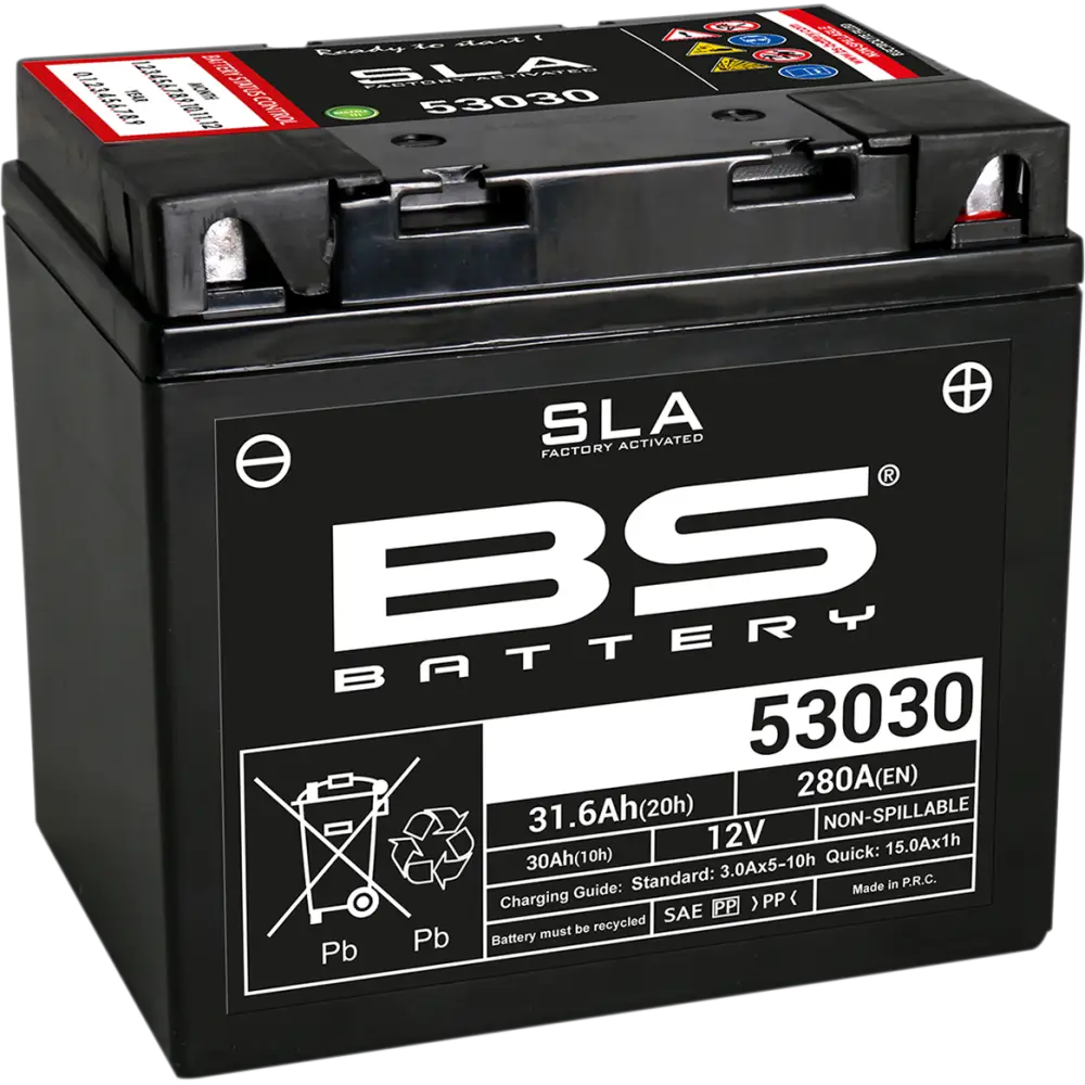 BS BATTERY Battery - 53030 300880