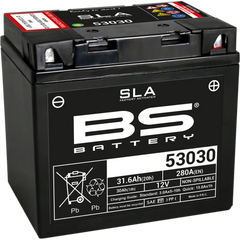 BS BATTERY Battery - 53030 300880