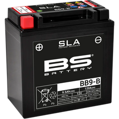 BS BATTERY Battery - BB9-B (YB) 300675