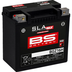 BS BATTERY Battery - BGZ16H 300931 - Electrical Group