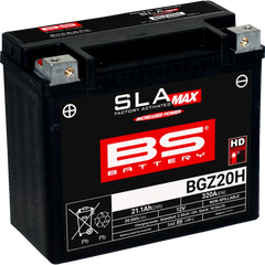 BS BATTERY Battery - BGZ20H 300933