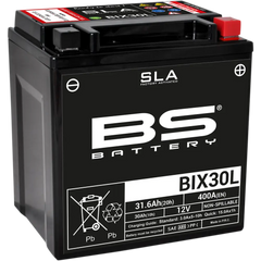 BS BATTERY Battery - BIX30L (YIX) 300631