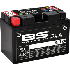 BS BATTERY Battery - BT12A (YT) 300679