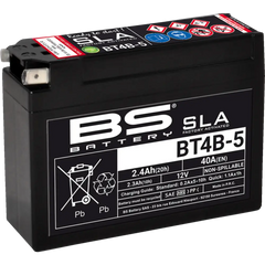 BS BATTERY Battery - BT4B-5 (YT) 300756