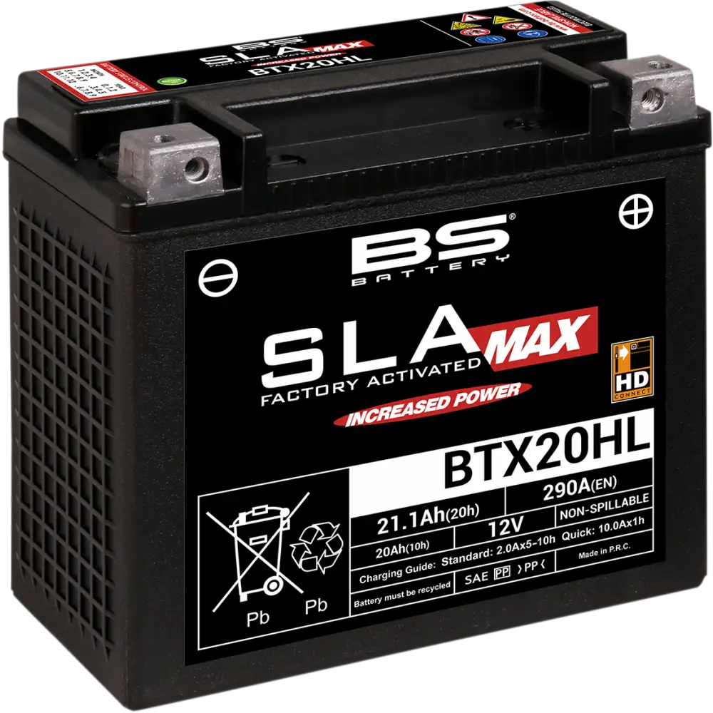 BS BATTERY Battery - BTX20HL (YTX) 300883