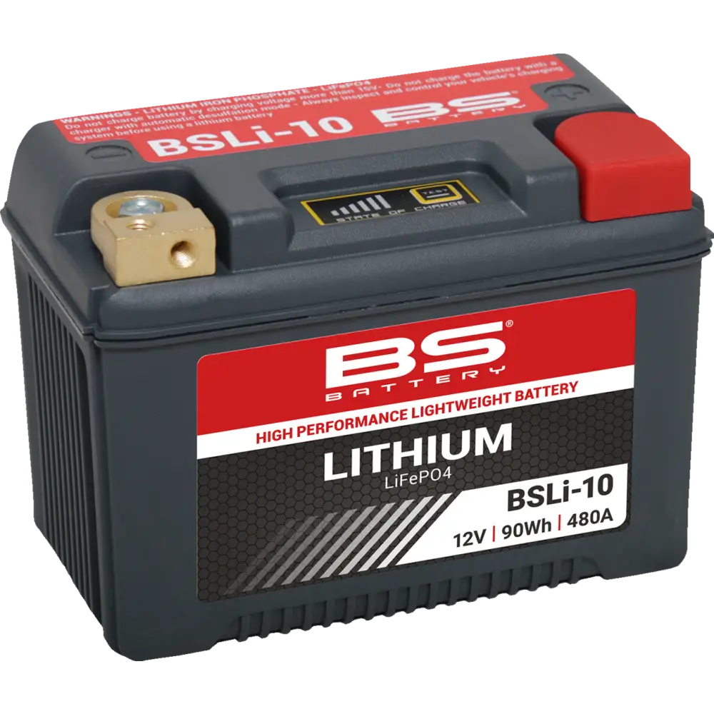 BS BATTERY Lithium Battery - BSLI-10 360118