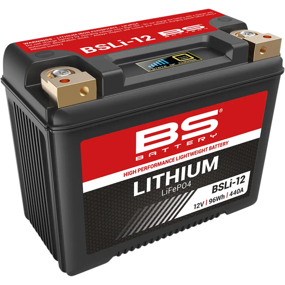 BS BATTERY Lithium Battery - BSLi-12 360112