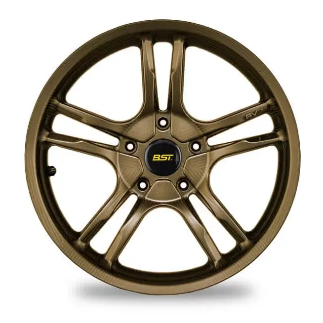 BST AV TEK 10 Spoke Carbon Fiber Rear Wheel for the BMW R NineT - 17 x 6 - wheels