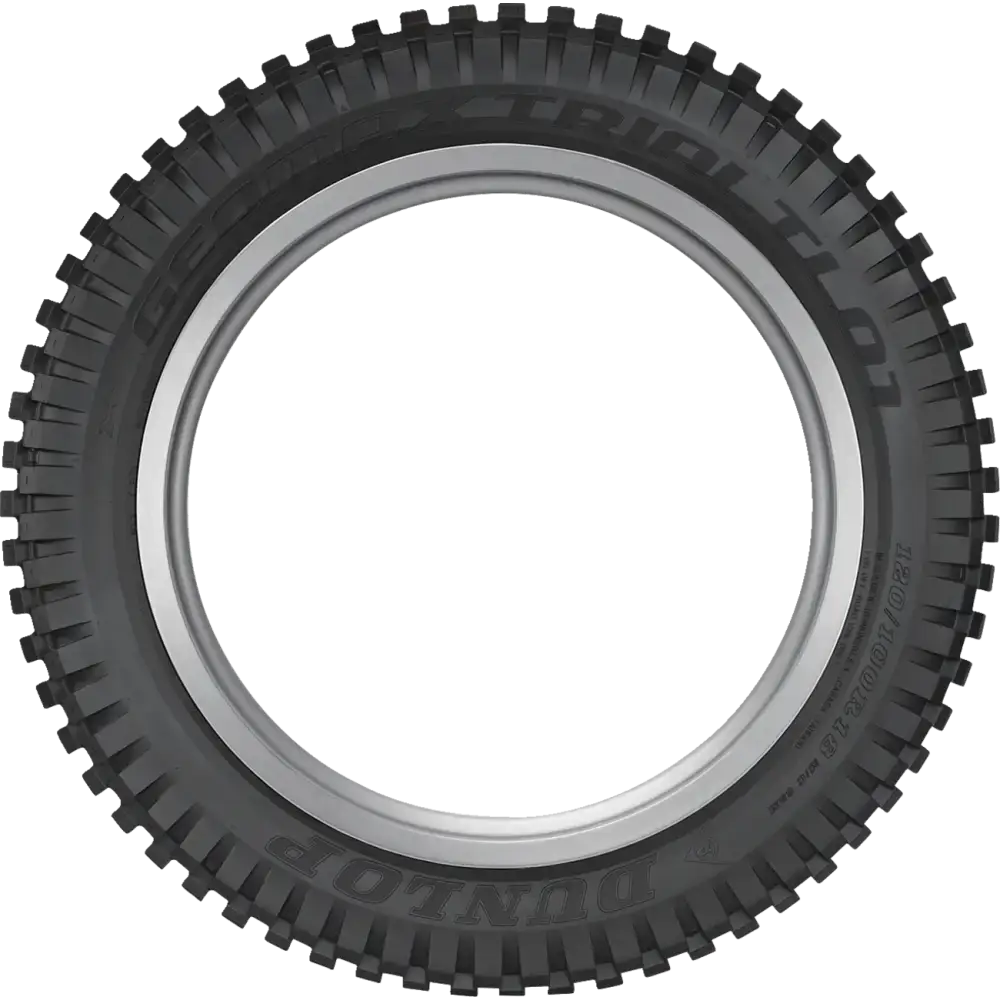 DUNLOP Tire - Geomax TL01 - Rear - 120/100R18 - 68M 45262501