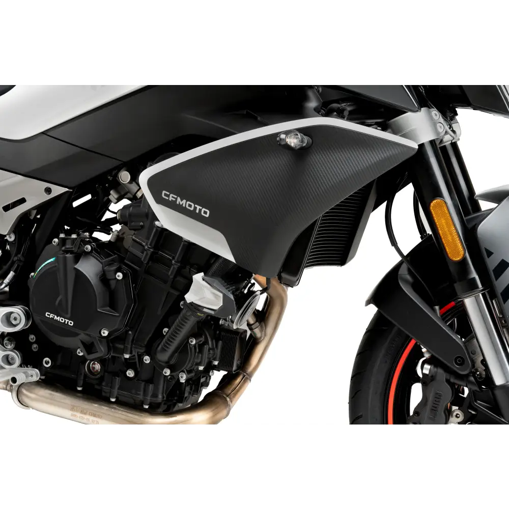 Frame Sliders R19 Black Cfmoto