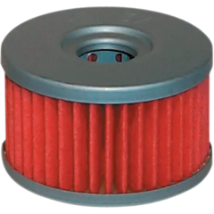 HIFLOFILTRO Oil Filter HF137