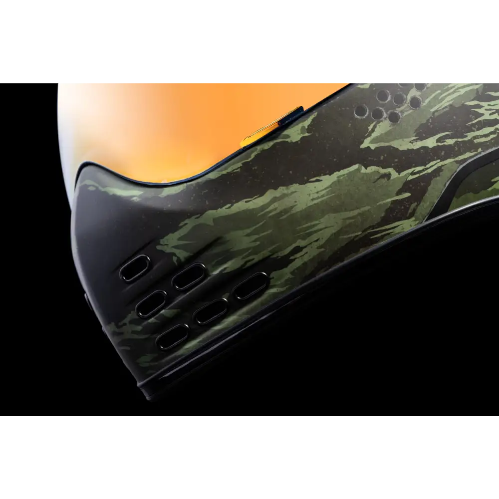 ICON Domain* Helmet - Tiger's Blood - Green - Large 0101-14926