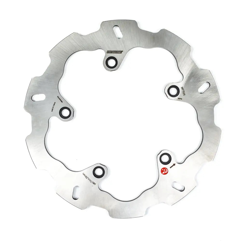 Racing Rotor Rear